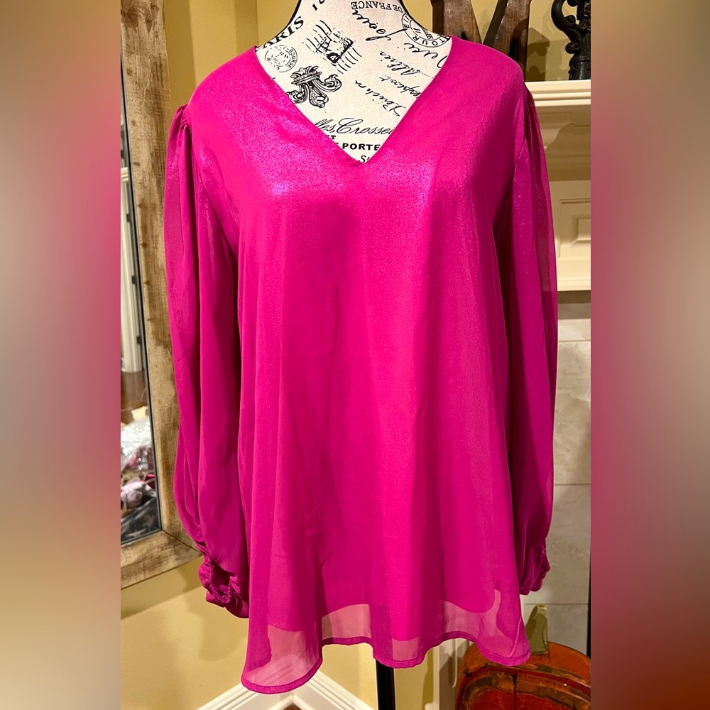 NWT Adrienne v neck bubble cinch sleeve top